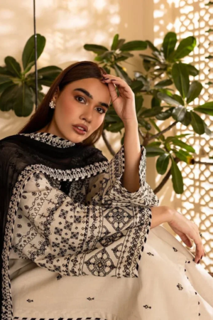 Aaina Embroidered 3 PC
