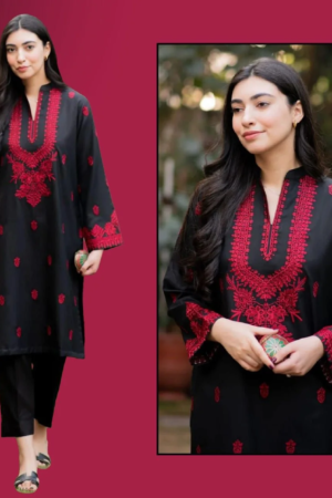 Aura Embroidered 2 PC